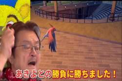 8076455 B