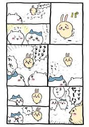 206955 B