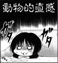32376 B