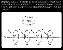 113383 B