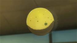 8153833 B