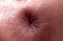 1060082 B