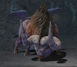 303903 B