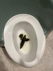 122278 B