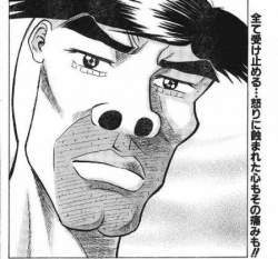 44213 B