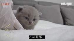 22333 B