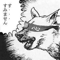 45549 B