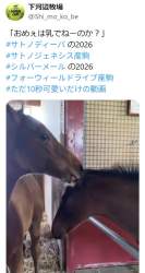 7066885 B