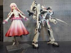 2496080 B