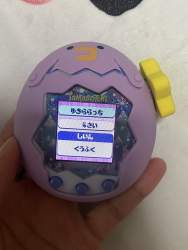 338874 B