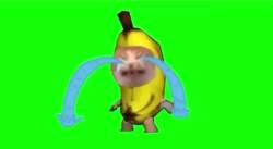 1085834 B