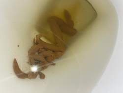 1968324 B