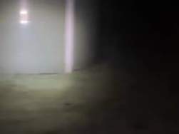 1095686 B