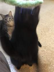 130475 B