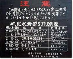 47044 B