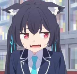 24229 B