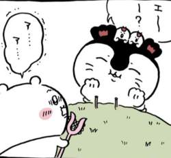 217257 B