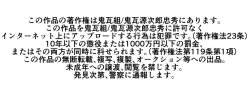 91005 B