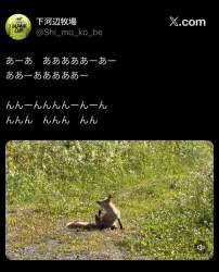 1053081 B