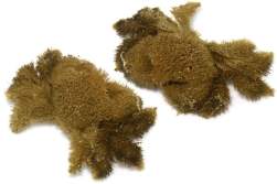 52146 B