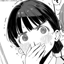 204311 B