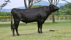 72920 B