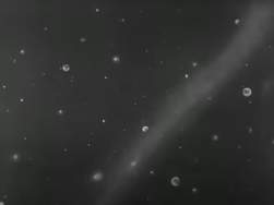 2031194 B