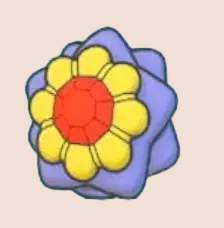 6596 B