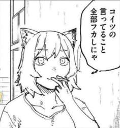 44173 B