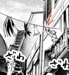 248775 B