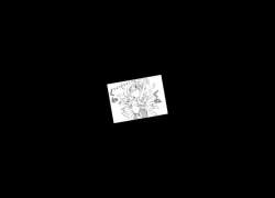 2803331 B