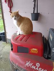 1992962 B