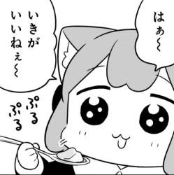 44055 B