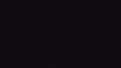4933310 B