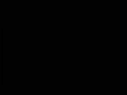 1494205 B