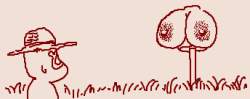 15830 B