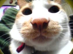 62883 B
