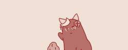 17169 B