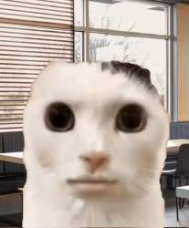 66761 B