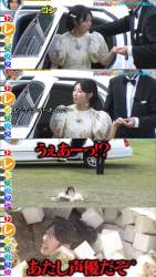 339113 B