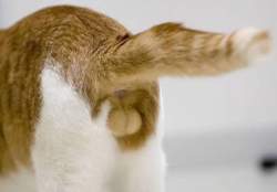 60092 B