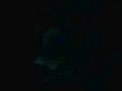 2722507 B