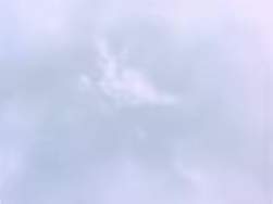 2047630 B