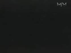 8011136 B