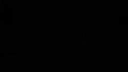 8171017 B