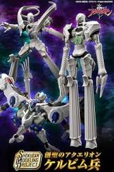 24355 B