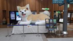 3063887 B