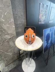 555978 B