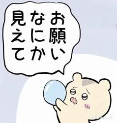 2506556 B