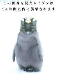 23500 B